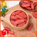 Getrocknete rote organische barbary wolfberry